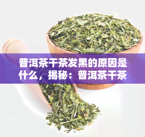 普洱茶干茶发黑的原因是什么，揭秘：普洱茶干茶为何会发黑？