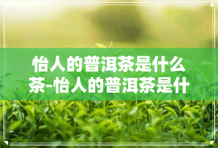 怡人的普洱茶是什么茶-怡人的普洱茶是什么茶叶