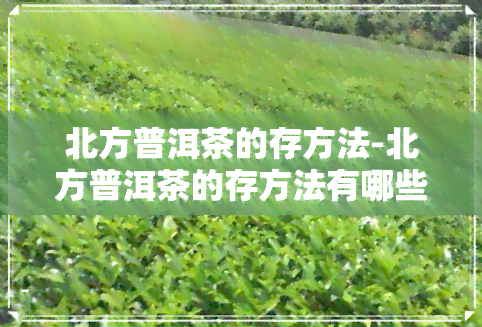 北方普洱茶的存方法-北方普洱茶的存方法有哪些