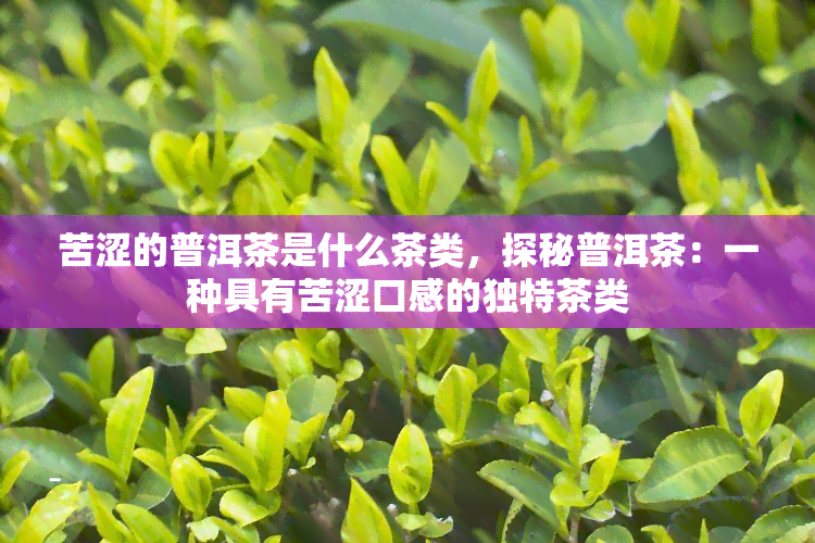 苦涩的普洱茶是什么茶类，探秘普洱茶：一种具有苦涩口感的独特茶类