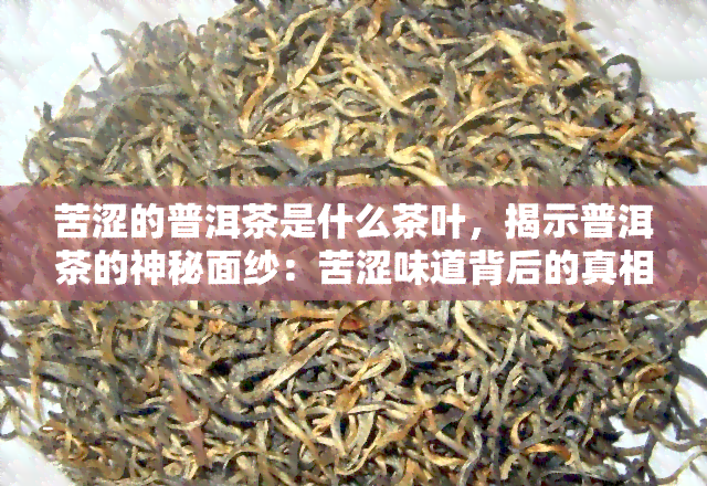 苦涩的普洱茶是什么茶叶，揭示普洱茶的神秘面纱：苦涩味道背后的真相