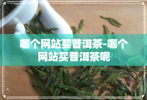 哪个网站买普洱茶-哪个网站买普洱茶呢