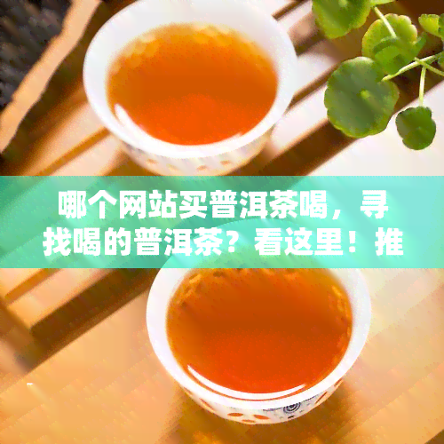 哪个网站买普洱茶喝，寻找喝的普洱茶？看这里！推荐购买网站