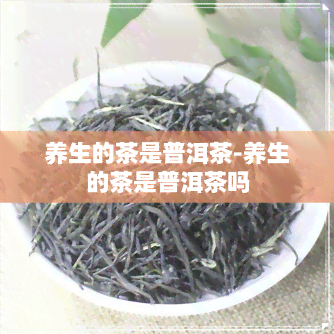 养生的茶是普洱茶-养生的茶是普洱茶吗