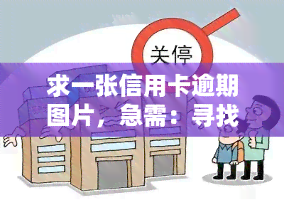 求一张信用卡逾期图片，急需：寻找显示信用卡逾期的图片，谢谢！