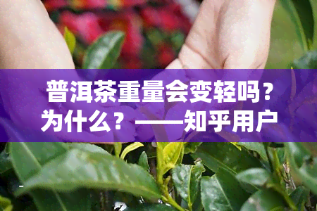 普洱茶重量会变轻吗？为什么？——知乎用户分享经验