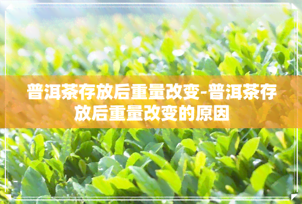 普洱茶存放后重量改变-普洱茶存放后重量改变的原因