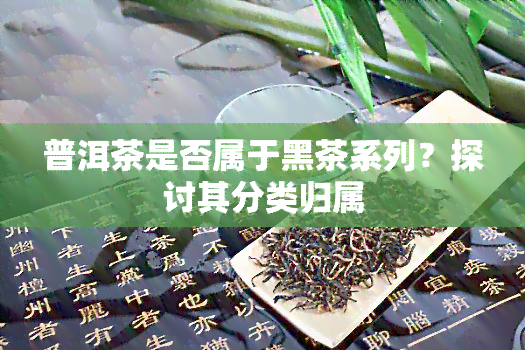 普洱茶是否属于黑茶系列？探讨其分类归属