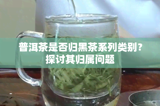 普洱茶是否归黑茶系列类别？探讨其归属问题