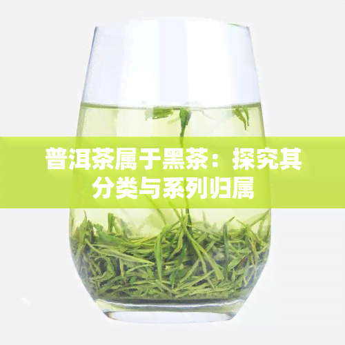 普洱茶属于黑茶：探究其分类与系列归属