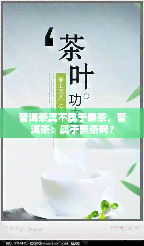 普洱茶属不属于黑茶，普洱茶：属于黑茶吗？