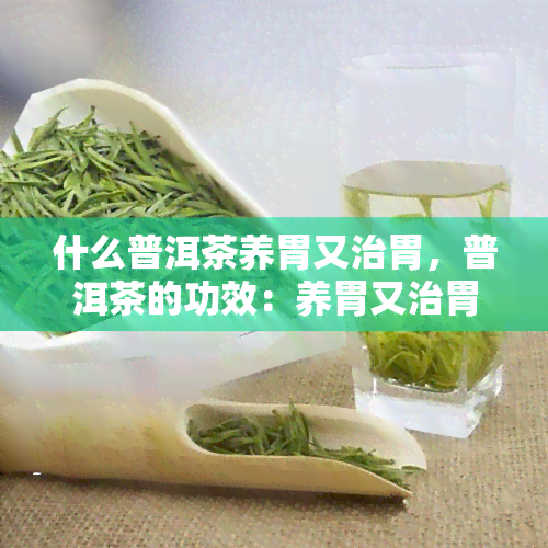 什么普洱茶养胃又治胃，普洱茶的功效：养胃又治胃，你了解吗？