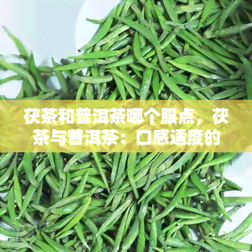 茯茶和普洱茶哪个服点，茯茶与普洱茶：口感适度的比较