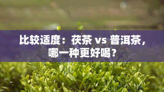 比较适度：茯茶 vs 普洱茶，哪一种更好喝？