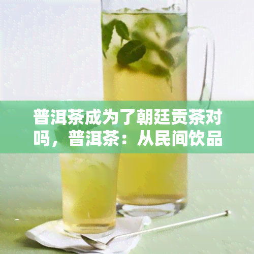 普洱茶成为了朝廷贡茶对吗，普洱茶：从民间饮品到朝廷贡品的历程