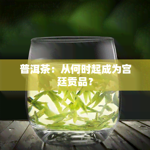 普洱茶：从何时起成为宫廷贡品？