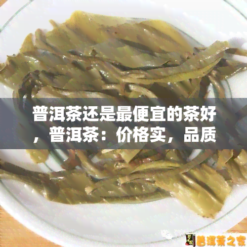 普洱茶还是更便宜的茶好，普洱茶：价格实，品质不打折的选择！