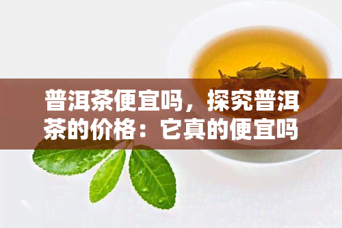 普洱茶便宜吗，探究普洱茶的价格：它真的便宜吗？