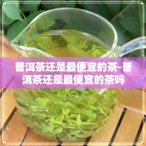 普洱茶还是更便宜的茶-普洱茶还是更便宜的茶吗