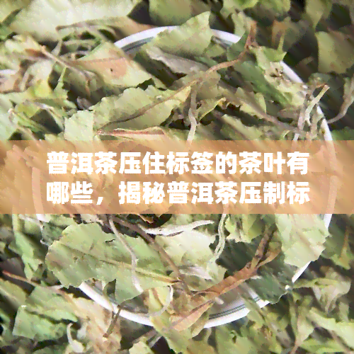 普洱茶压住标签的茶叶有哪些，揭秘普洱茶压制标签下的茶叶品种