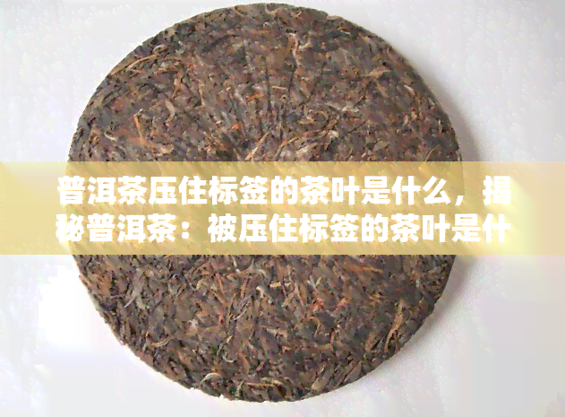 普洱茶压住标签的茶叶是什么，揭秘普洱茶：被压住标签的茶叶是什么？