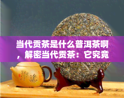 当代贡茶是什么普洱茶啊，解密当代贡茶：它究竟属于哪种普洱茶？