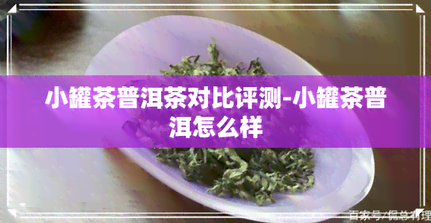 小罐茶普洱茶对比评测-小罐茶普洱怎么样