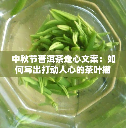 中秋节普洱茶走心文案：如何写出打动人心的茶叶描述？