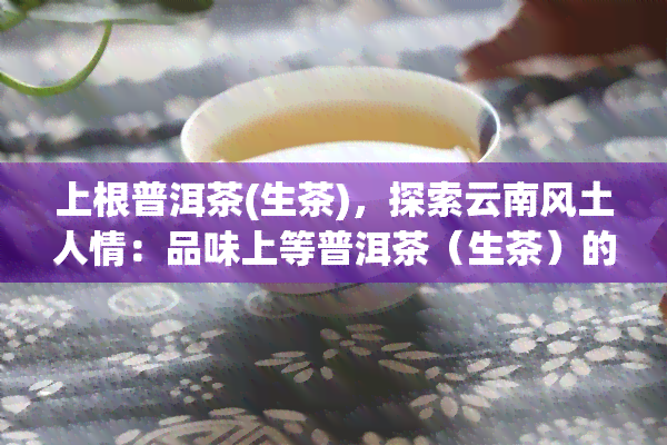 上根普洱茶(生茶)，探索云南风土人情：品味上等普洱茶（生茶）的醇厚韵味