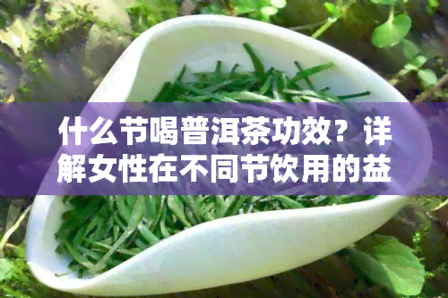 什么节喝普洱茶功效？详解女性在不同节饮用的益处与注意事