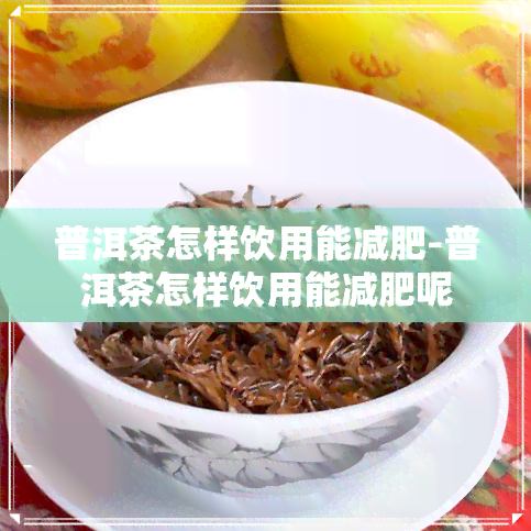 普洱茶怎样饮用能减肥-普洱茶怎样饮用能减肥呢