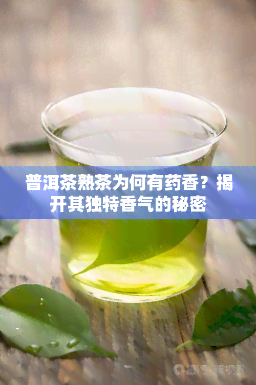 普洱茶熟茶为何有香？揭开其独特香气的秘密