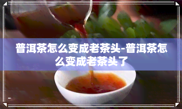 普洱茶怎么变成老茶头-普洱茶怎么变成老茶头了