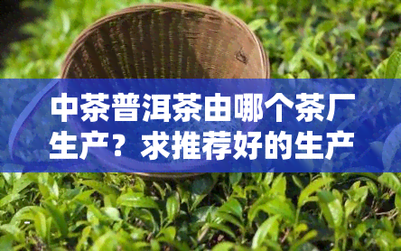 中茶普洱茶由哪个茶厂生产？求推荐好的生产厂家！