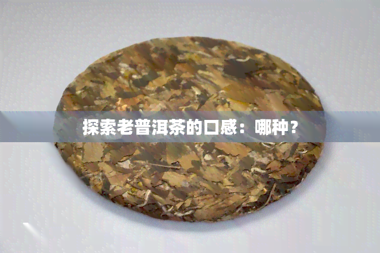 探索老普洱茶的口感：哪种？