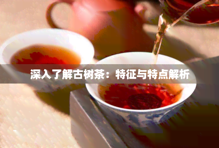 深入了解古树茶：特征与特点解析