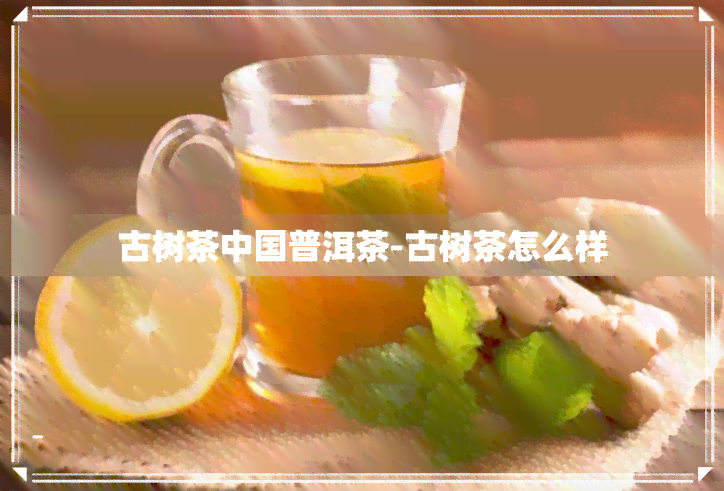 古树茶中国普洱茶-古树茶怎么样