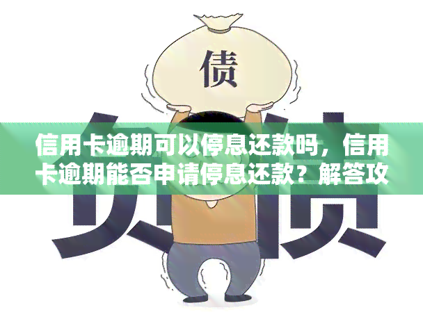 信用卡逾期可以停息还款吗，信用卡逾期能否申请停息还款？解答攻略