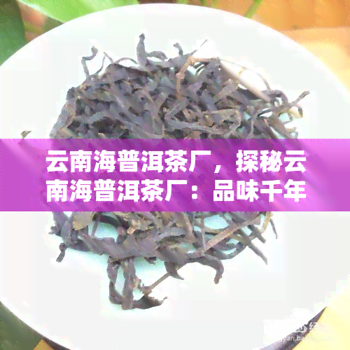 云南海普洱茶厂，探秘云南海普洱茶厂：品味千年茶文化