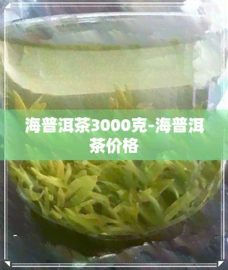 海普洱茶3000克-海普洱茶价格