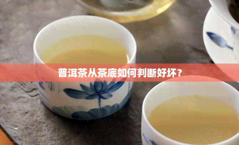 普洱茶从茶底如何判断好坏？