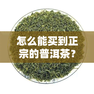 怎么能买到正宗的普洱茶？关键看这几点！