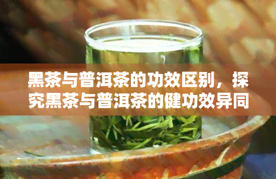 黑茶与普洱茶的功效区别，探究黑茶与普洱茶的健功效异同