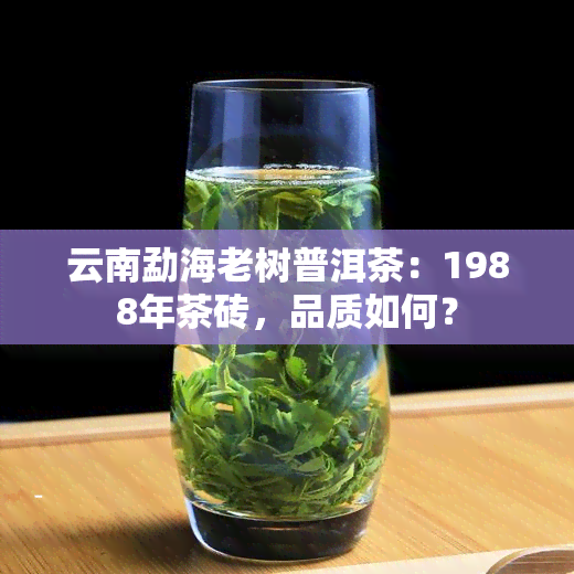 云南勐海老树普洱茶：1988年茶砖，品质如何？