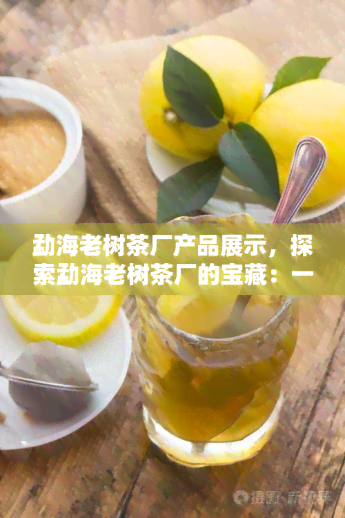 勐海老树茶厂产品展示，探索勐海老树茶厂的宝藏：一次产品展示之旅