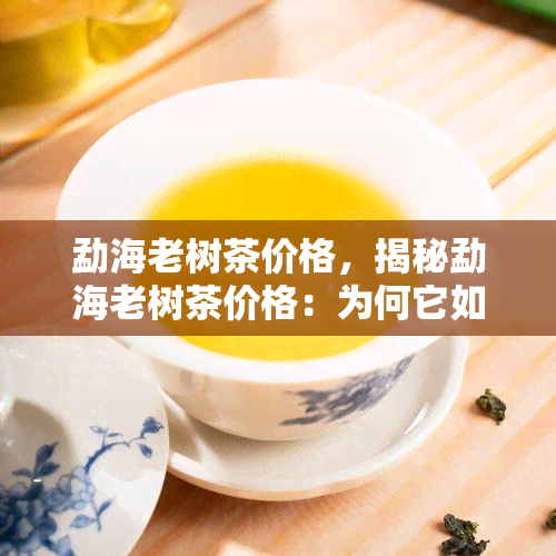 勐海老树茶价格，揭秘勐海老树茶价格：为何它如此珍贵？