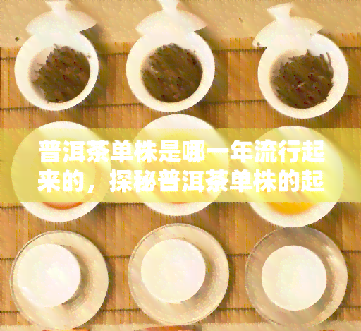 普洱茶单株是哪一年流行起来的，探秘普洱茶单株的起源与流行时间