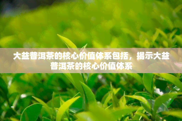 大益普洱茶的核心价值体系包括，揭示大益普洱茶的核心价值体系