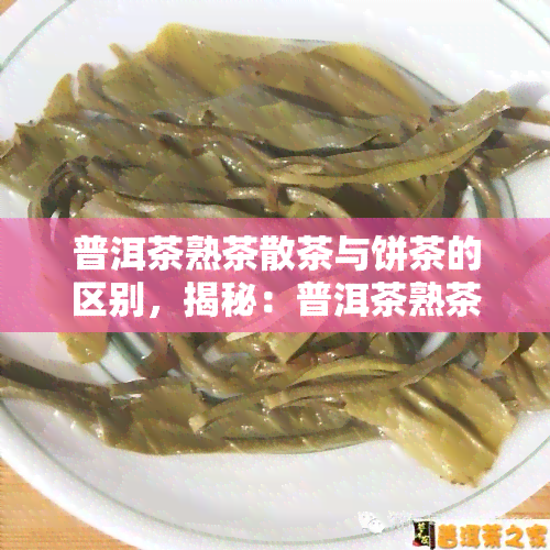 普洱茶熟茶散茶与饼茶的区别，揭秘：普洱茶熟茶散茶与饼茶的差异之处