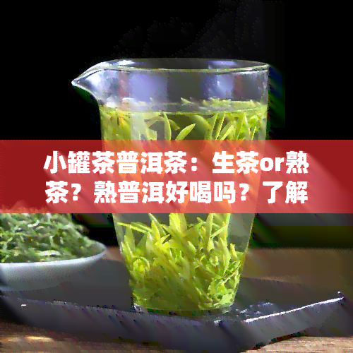 小罐茶普洱茶：生茶or熟茶？熟普洱好喝吗？了解其功效